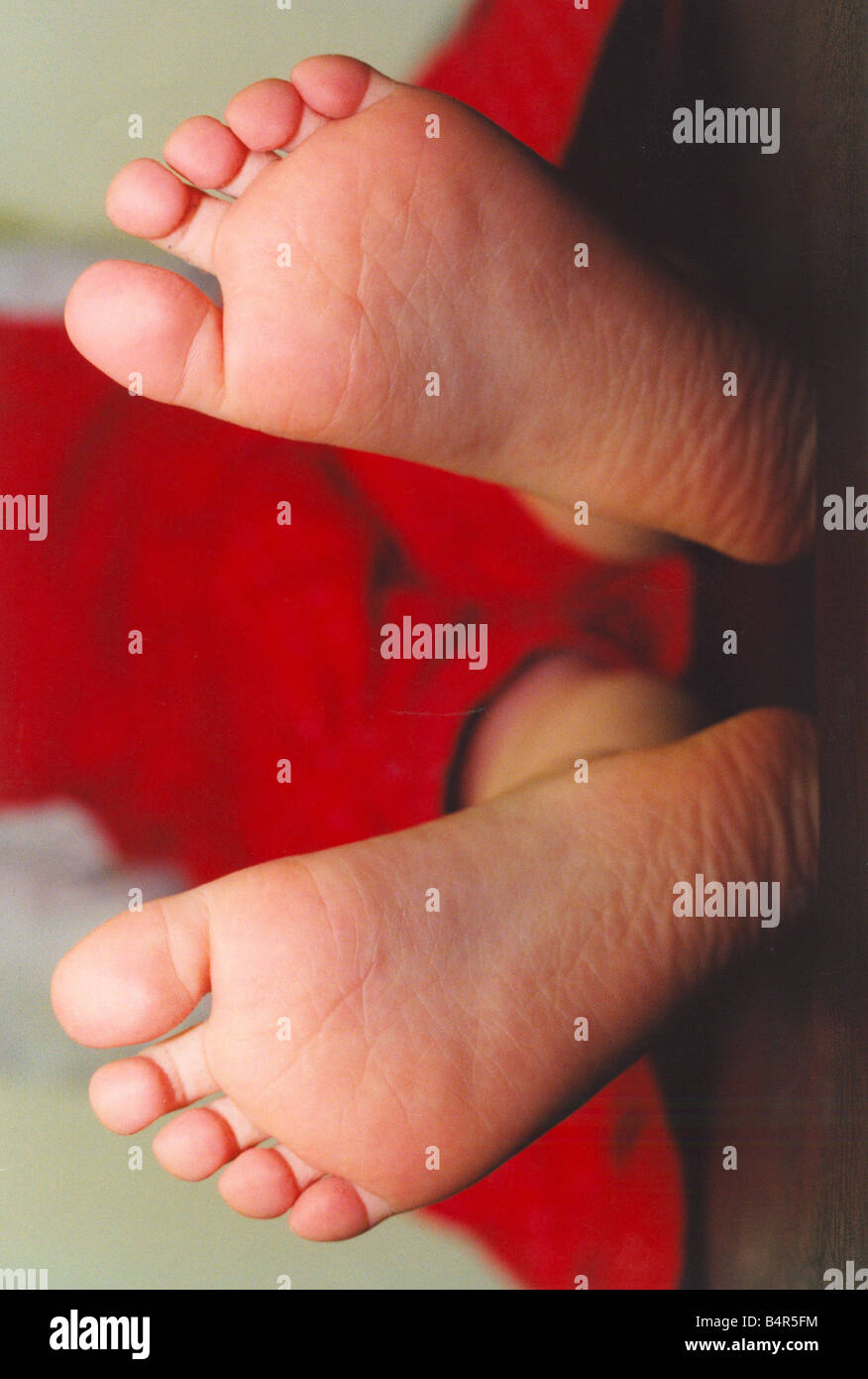 A childs feet before shoes have been worn Stock Photo Alamy