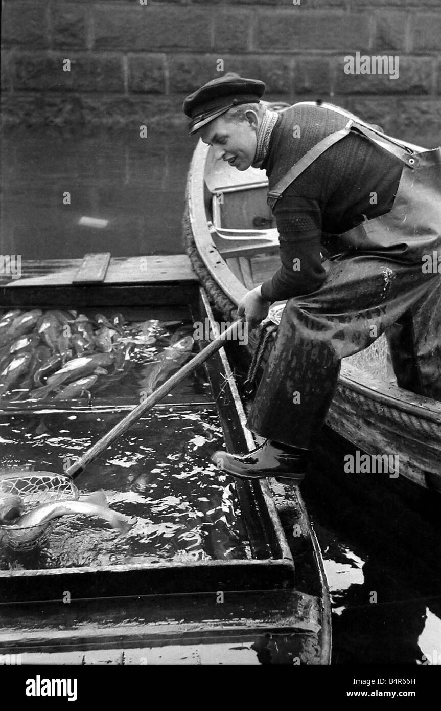 Scene from Copenhagen s fish market Fisherman in Copenhagen Denmark