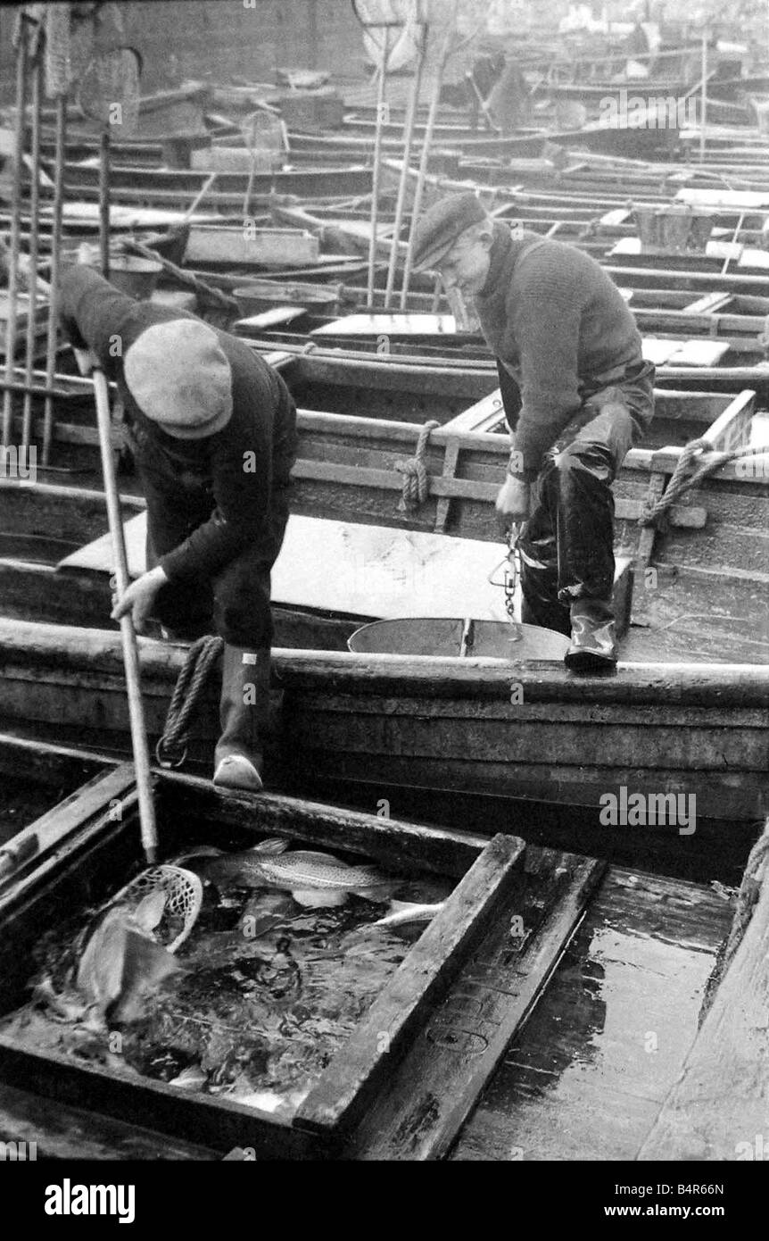 Scene from Copenhagen s fish market Fisherman in Copenhagen Denmark
