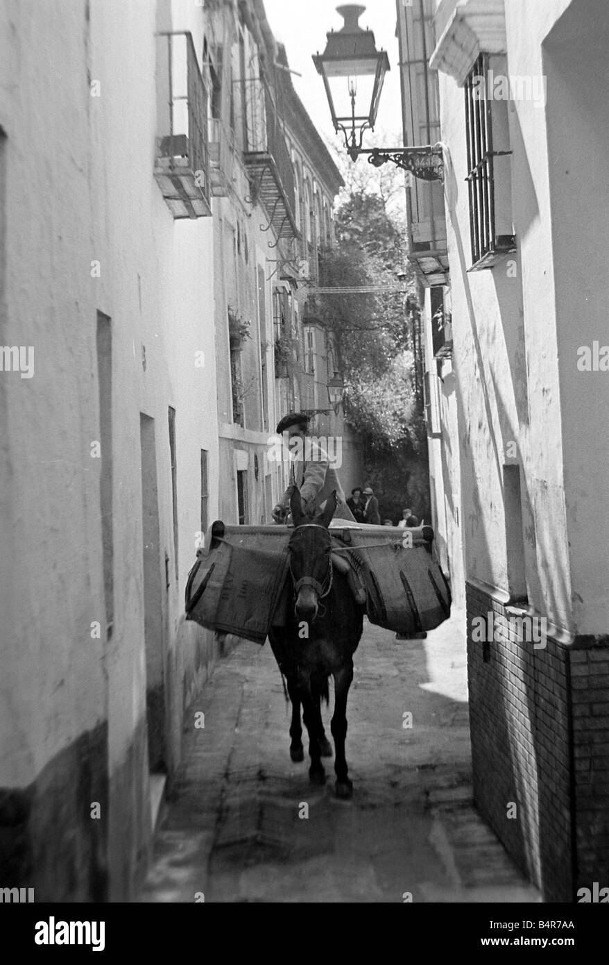 A local man riding on the back of a donkey through the narrow back streets of Seville in Andalusia Spain Circa 1935 Stock Photo