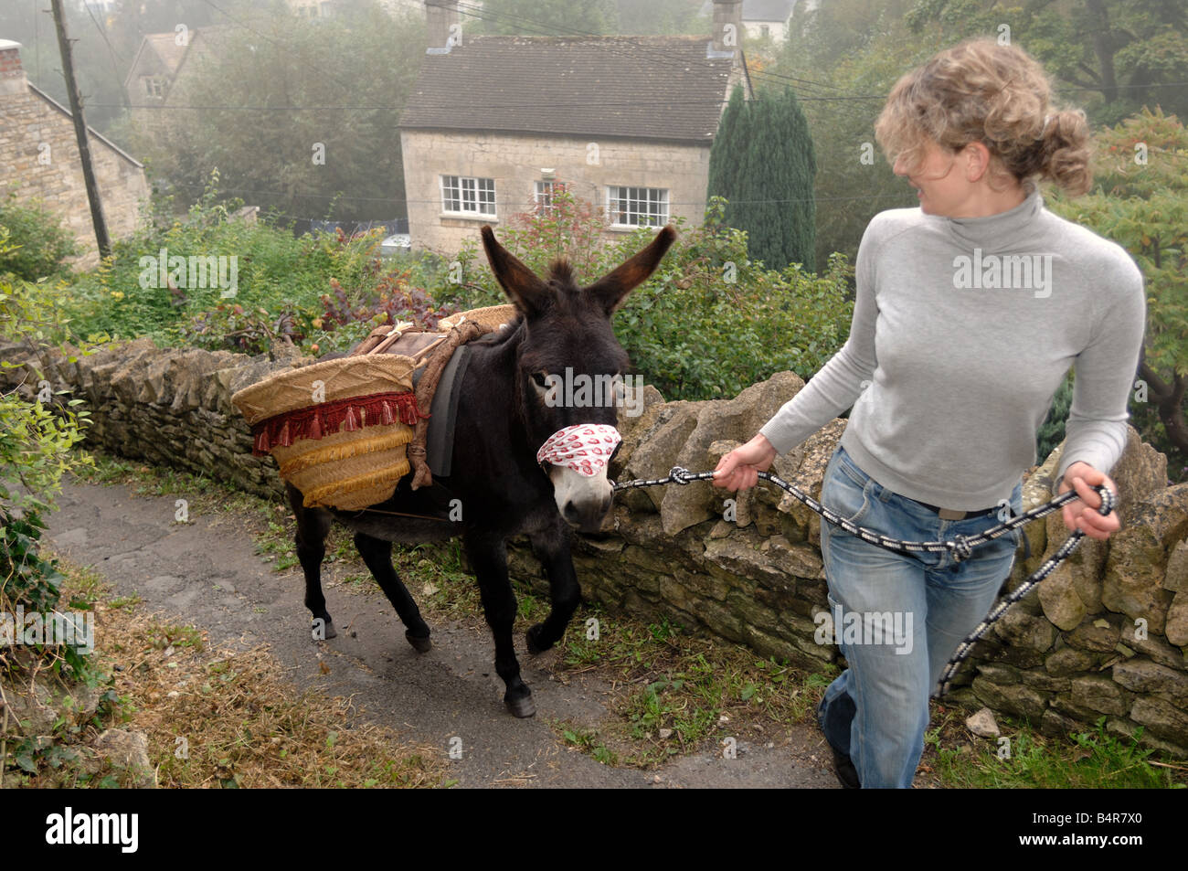 Chalford donkey hires stock photography and images Alamy