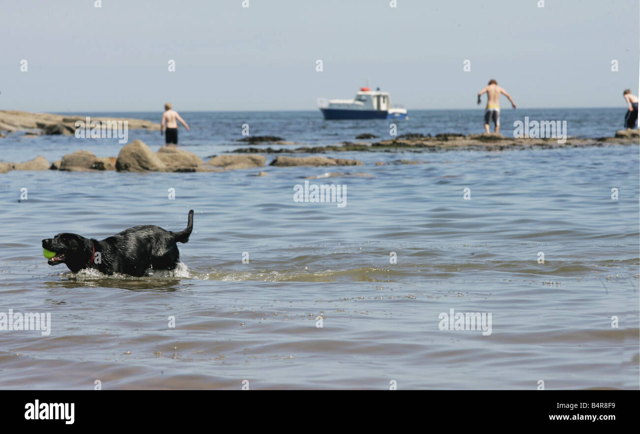 Summer weather Children hunt in the rock pools at Tynemouth beach and ...