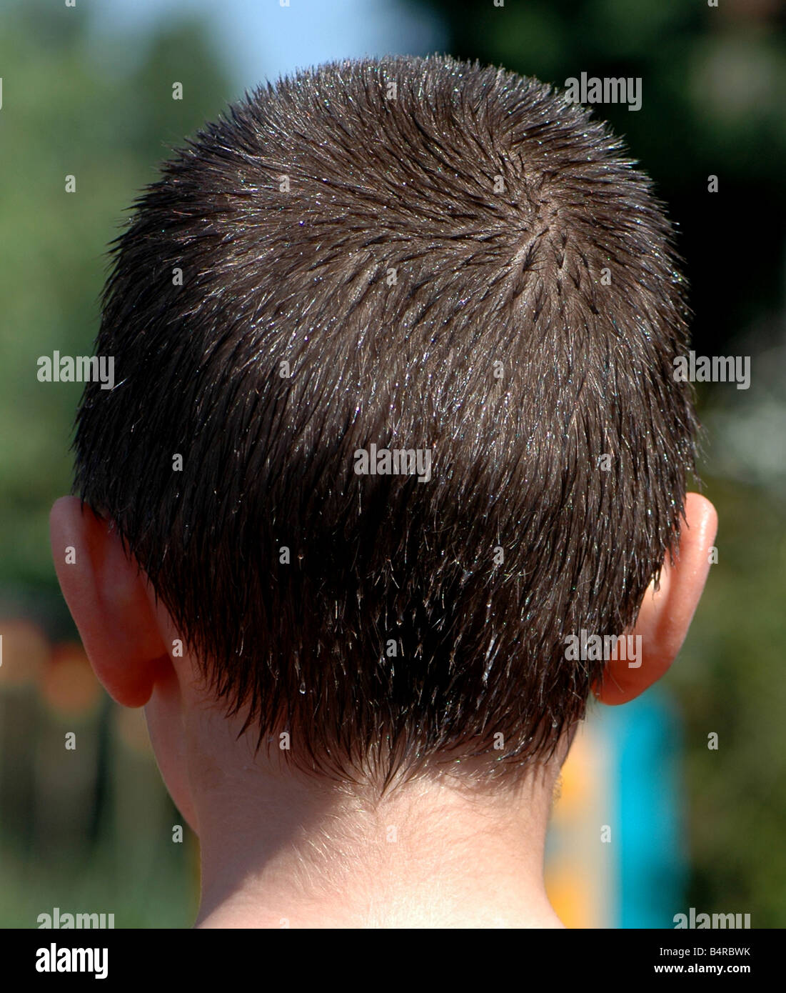 The Back Of A Boys Head Hair Wet With Water Stock Photo Alamy The Back Of A Boys Head Hair Wet With Water Stock Photo Alamy