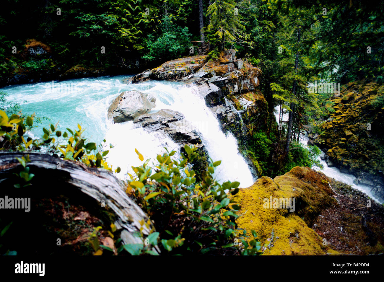 Nooksack falls hires stock photography and images Alamy