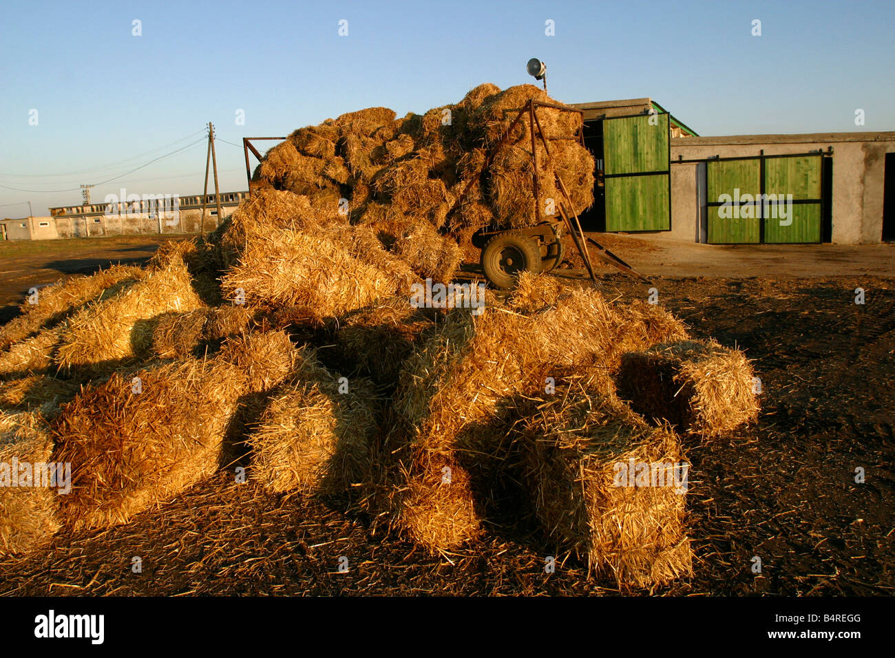 straw bales in farmyard Stock Photo Alamy