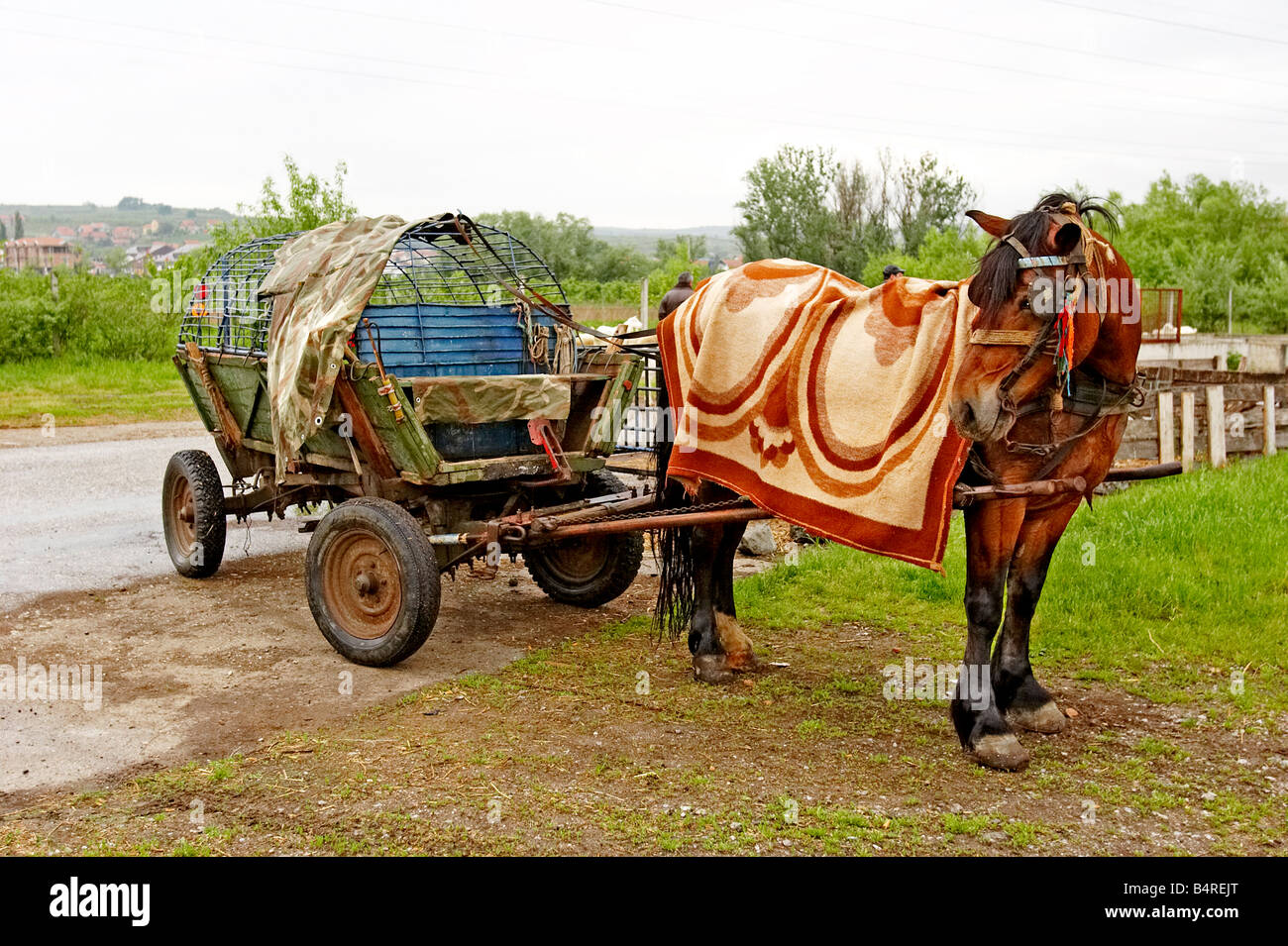 Gypsy horse carriage hires stock photography and images Alamy