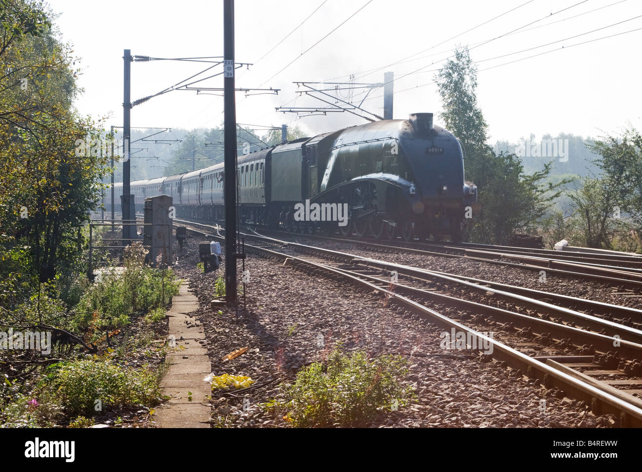 Class A4 60019 'Bittern' 4-6-2 Pacific steam locomotive at Potteric Carr Doncaster Stock Photo