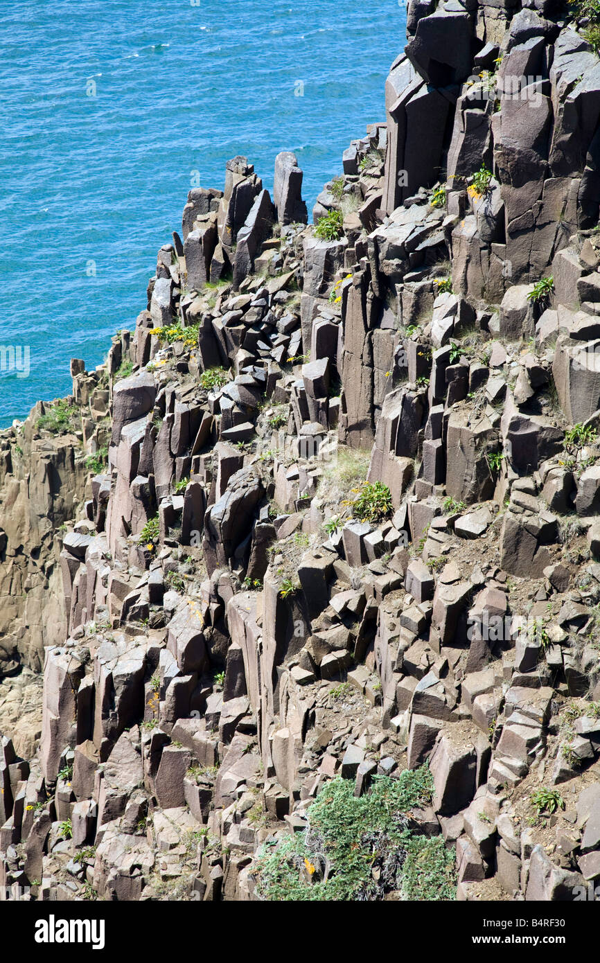 File:Grand Manan Island, Bay of Fundy.jpg - Wikipedia