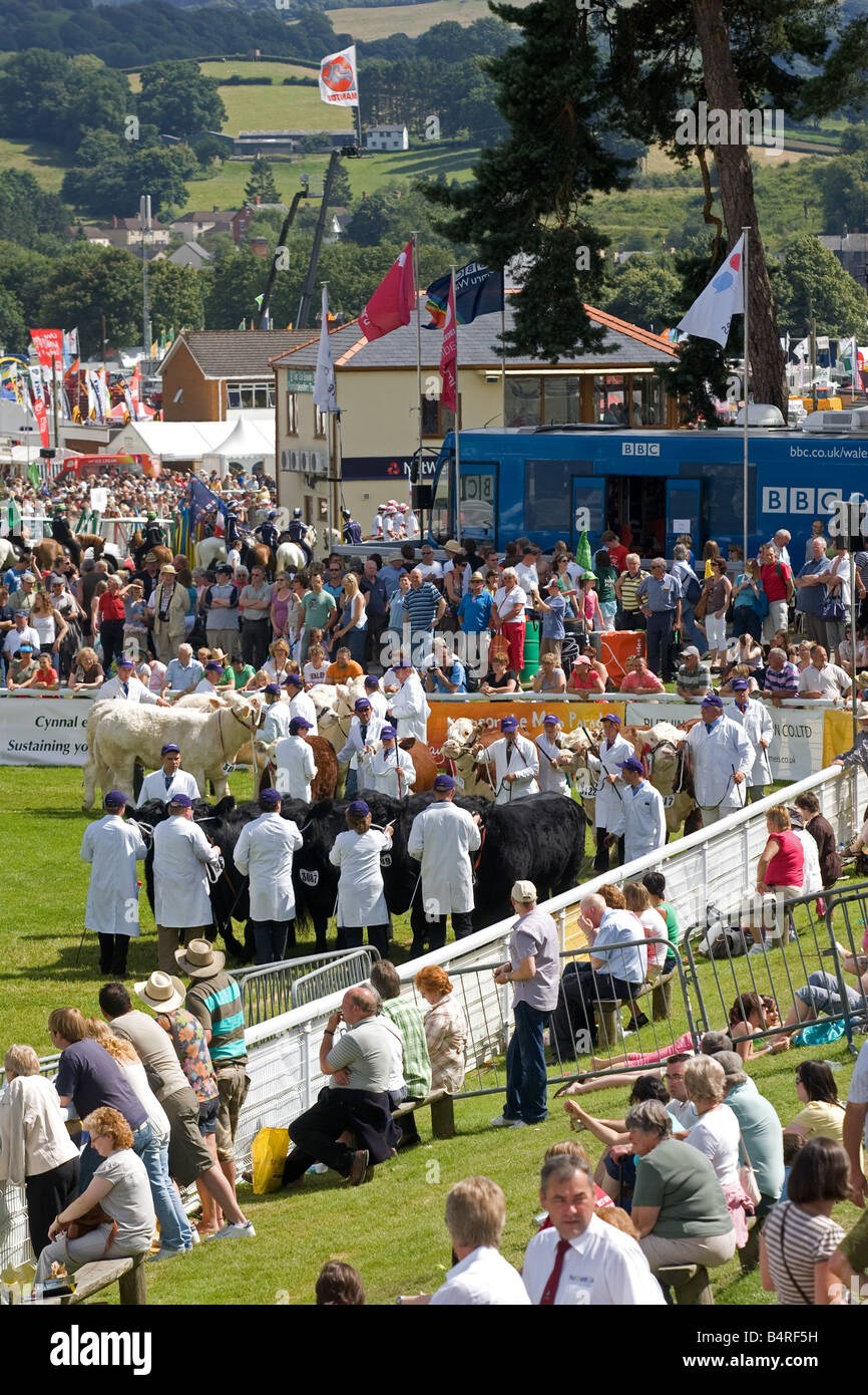 Crowds at The Royal Welsh Show Stock Photo