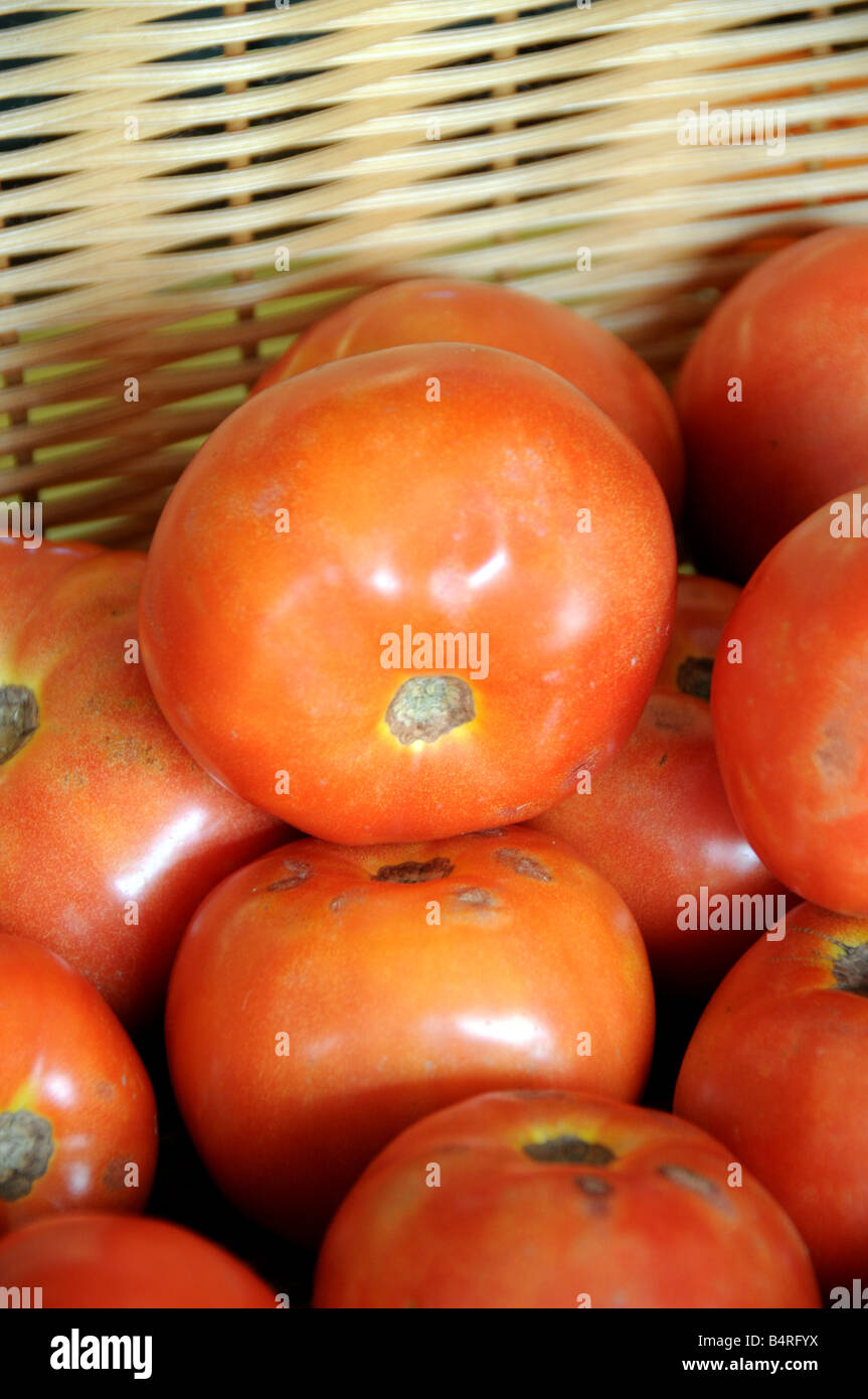 Red beefsteak tomatoes hires stock photography and images Alamy