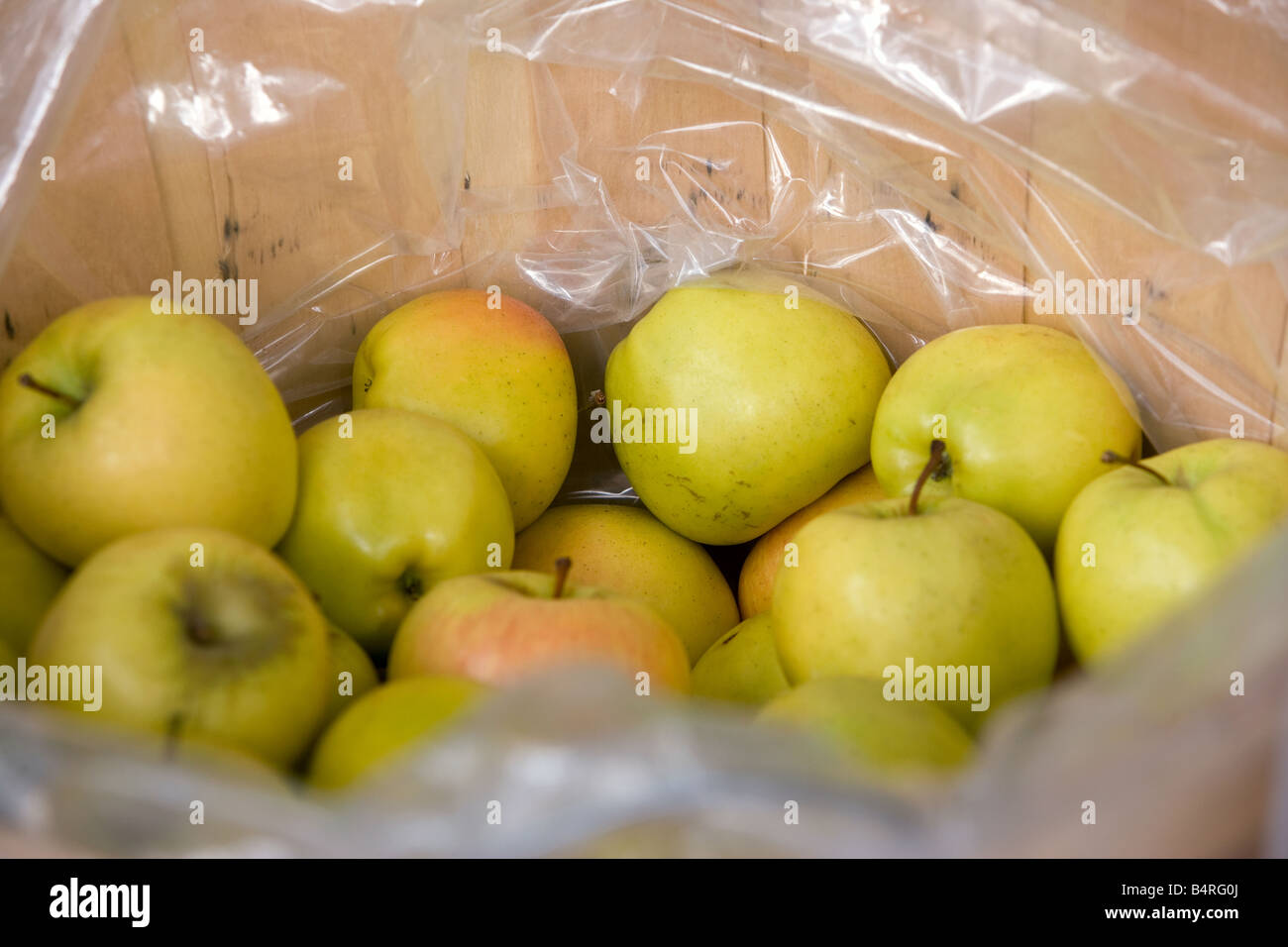A bushel of apples Stock Photo Alamy