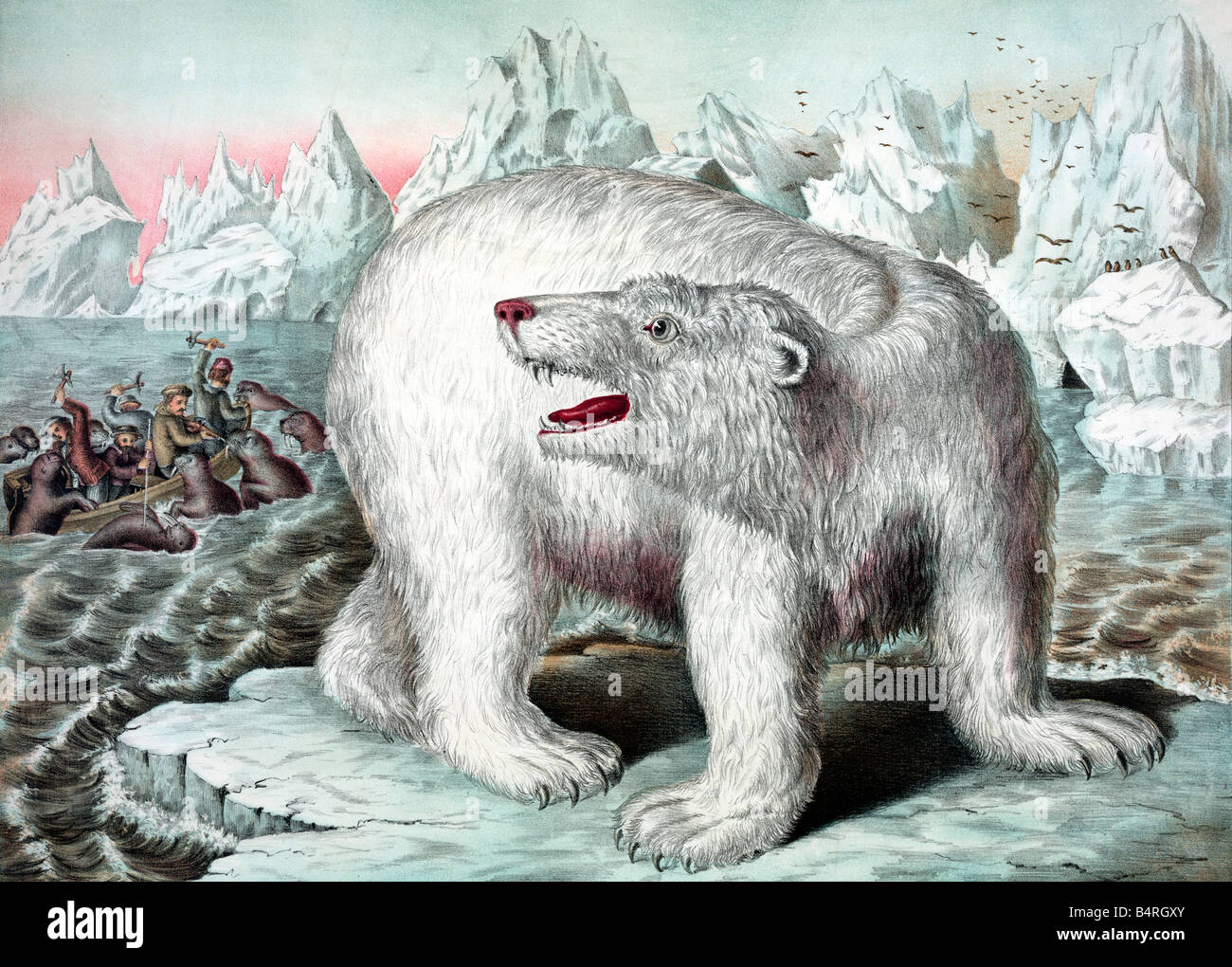 Ursus maritimus art Stock Photo