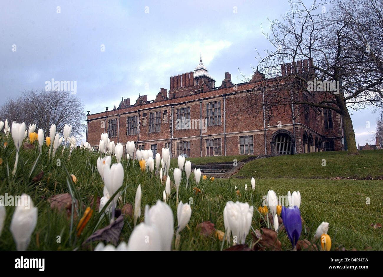 Springtime flower beds in Aston Hall Stock Photo Alamy