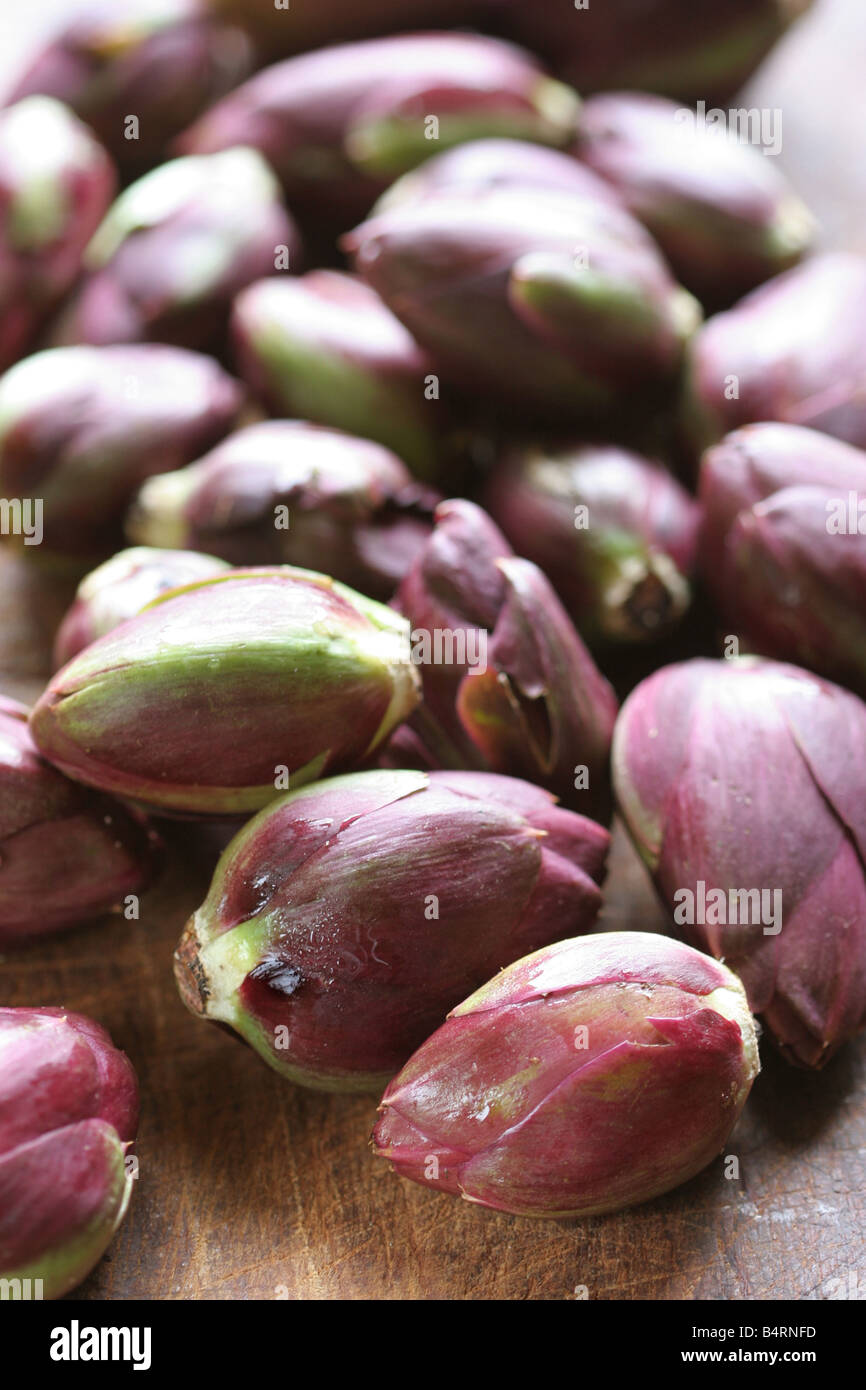 Artichokes Italy Stock Photo Alamy