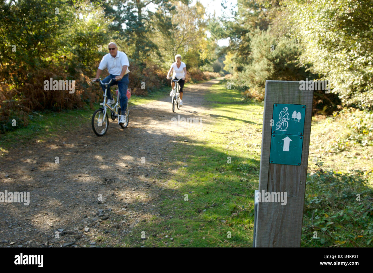 Cycling in the New Forest, Hampshire, England. Stock Photo