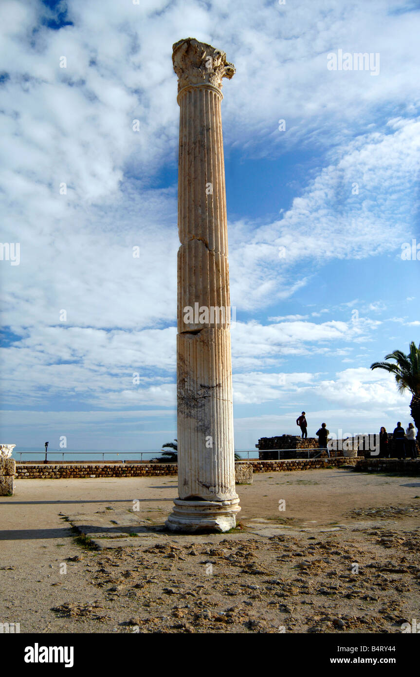 Archaeological area  Cartagine  Tunisia  North Africa  Africa Stock Photo
