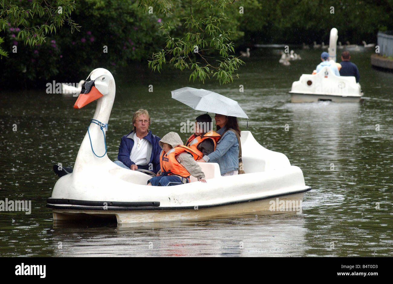 Day for ducks or in this case swans on Singleton Boating Lake Swansea on a rainy bank holiday 31st May 2004 Stock Photo