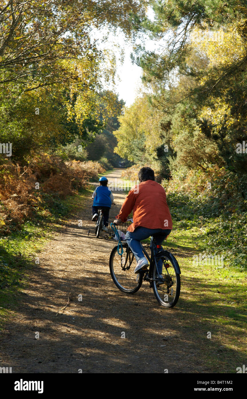 Cycling in the New Forest, Hampshire, England. Stock Photo