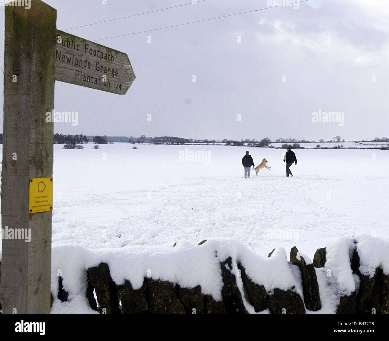 A family walks their dog through the snow Stock Photo - Alamy