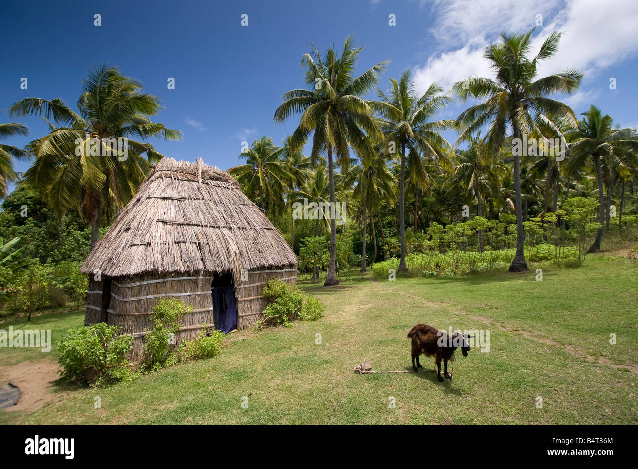 Fiji house traditional hi-res stock photography and images - Alamy