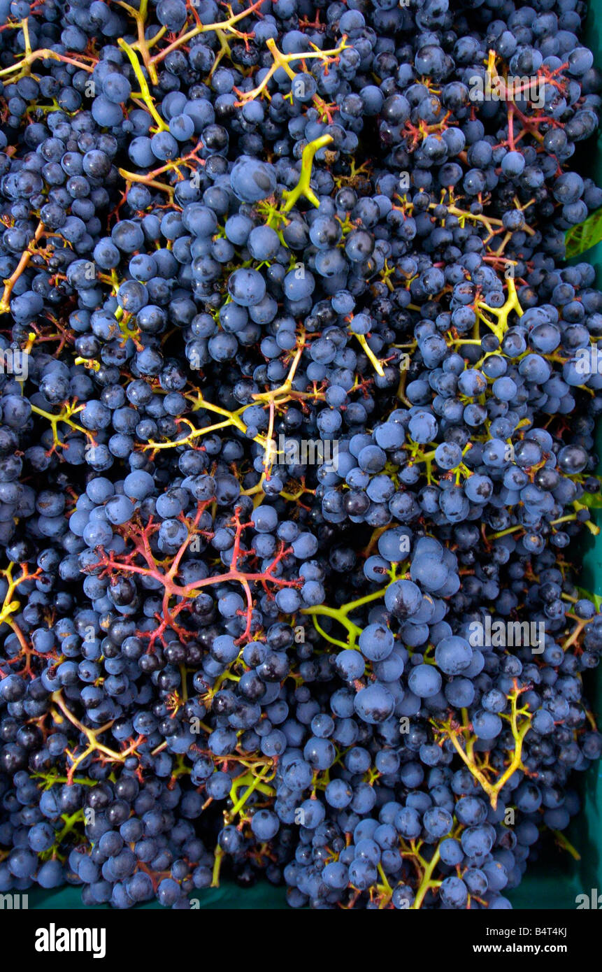 Welford upon avon hires stock photography and images Alamy