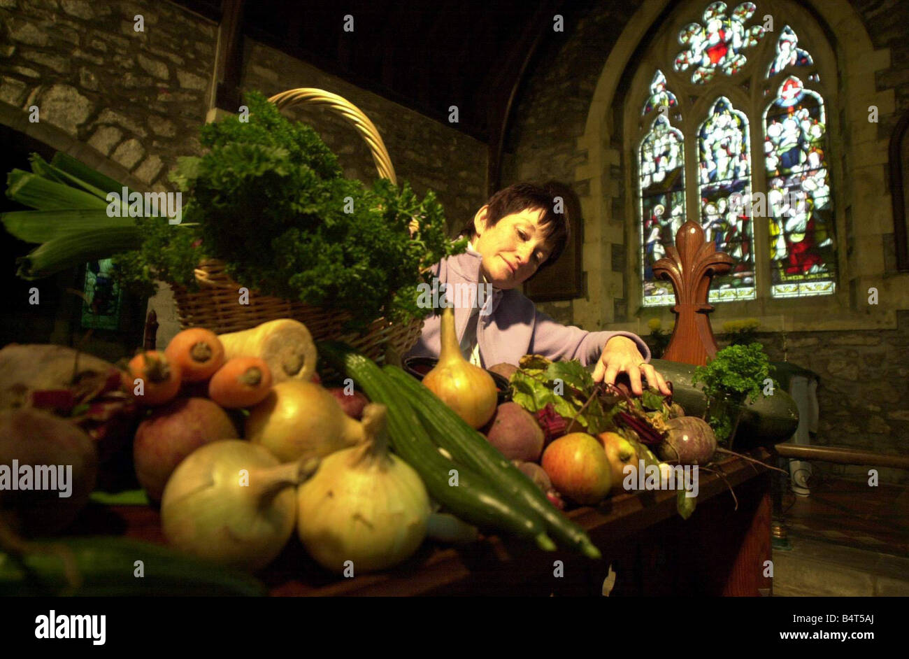 Kathy Williams from Llandewi Velfrey West Wales arranges the Harvest Festival display at the tiny church of St Davids in Llandewi Velfrey ready for the evenings service 3rd October 2003 Stock Photo