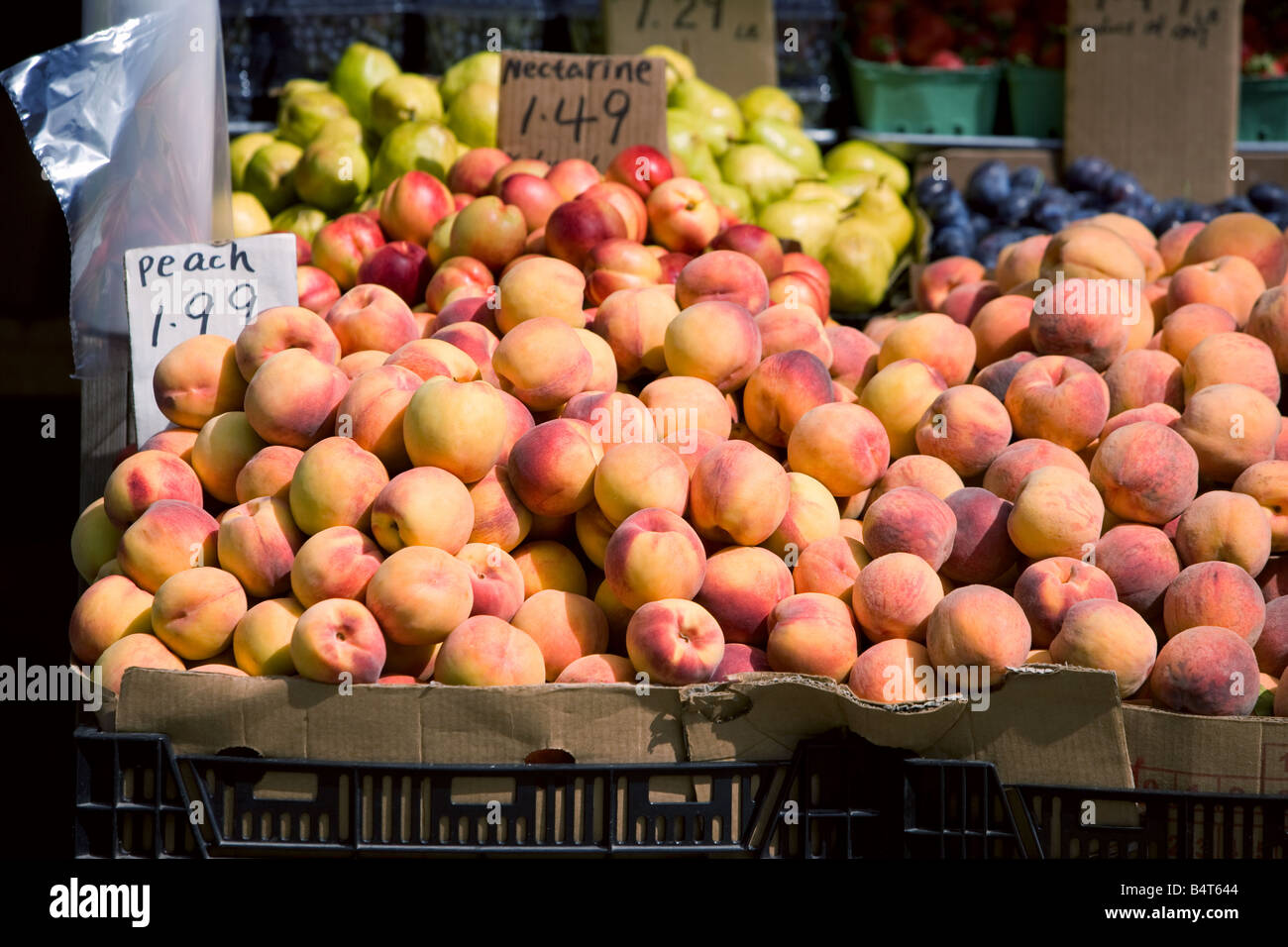 Peaches for sale at a fruit store Stock Photo Alamy