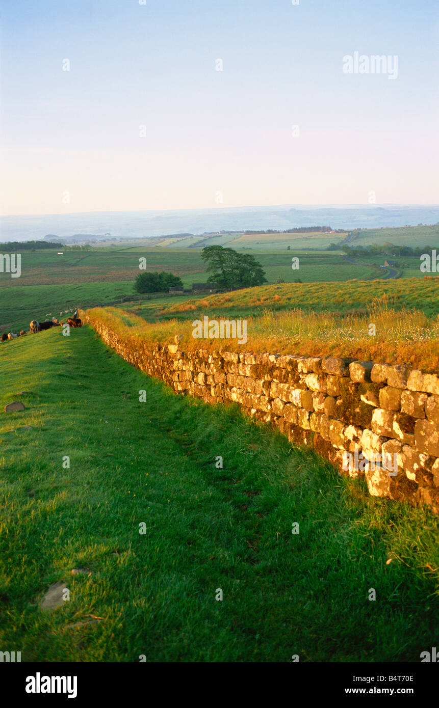 England, Northumbria, Hadrian's Wall, Views near Housesteads Roman Fort ...