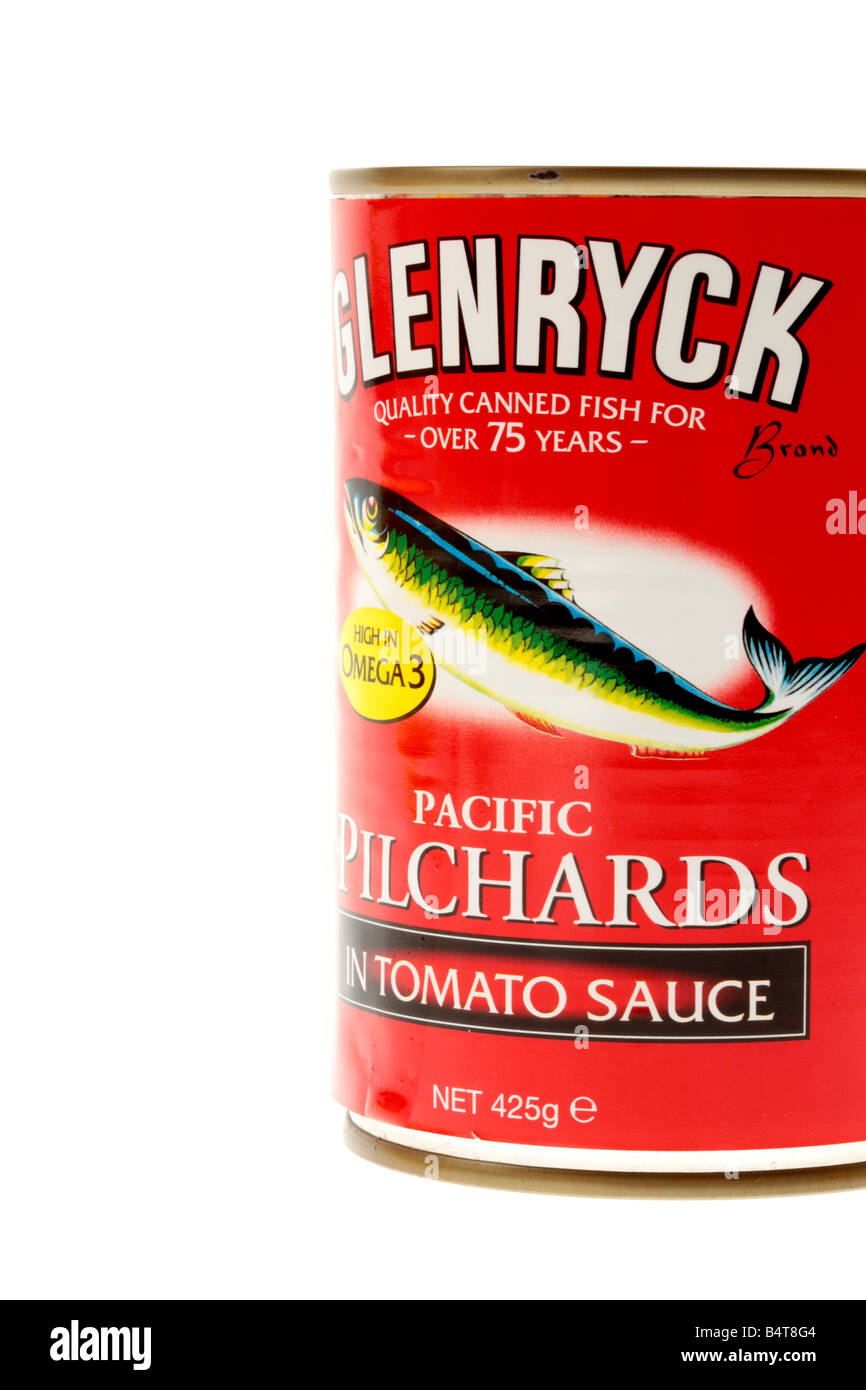 Tin Of Pilchards in Tomato Sauce Stock Photo Alamy