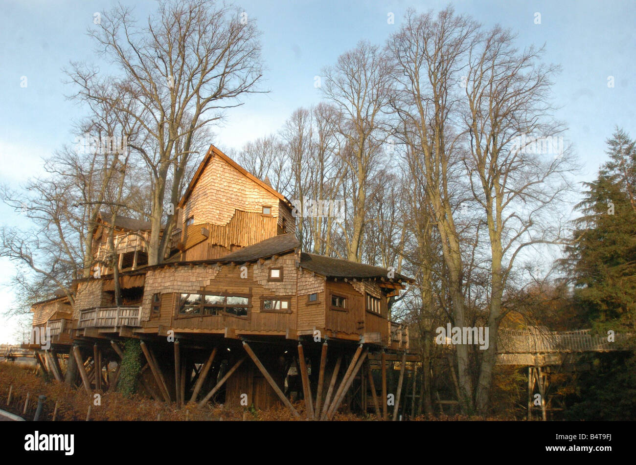 The Treehouse At Alnwick Gardens At Alnwick Castle Stock Photo