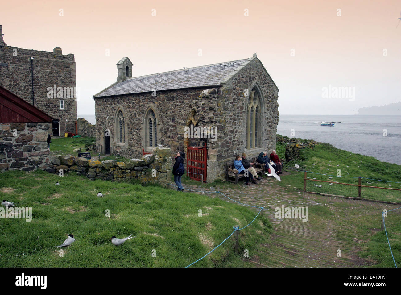 The bird sanctuary on the Farne Islands St Cuthbert s Chapel on Inner