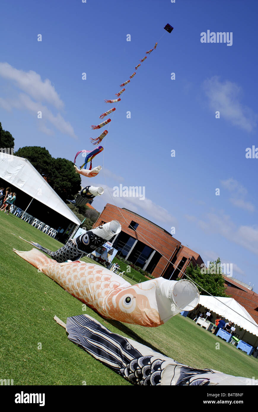 Giant kite made up of many smaller fish kites. Stock Photo