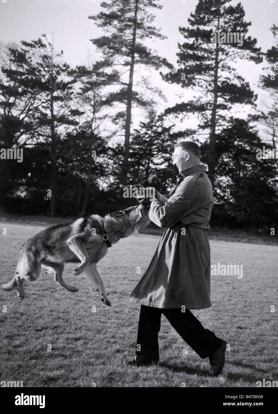 Hold him Thats the command used when the fugitive shows fight or