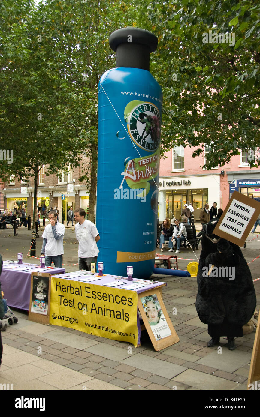 'Hurtful Essences' Animal rights protestors in York october 2008 Stock Photo