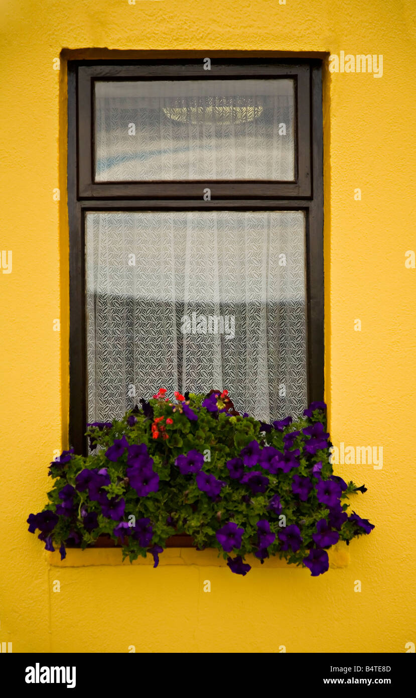 Ireland irish flower box window hires stock photography and images Alamy