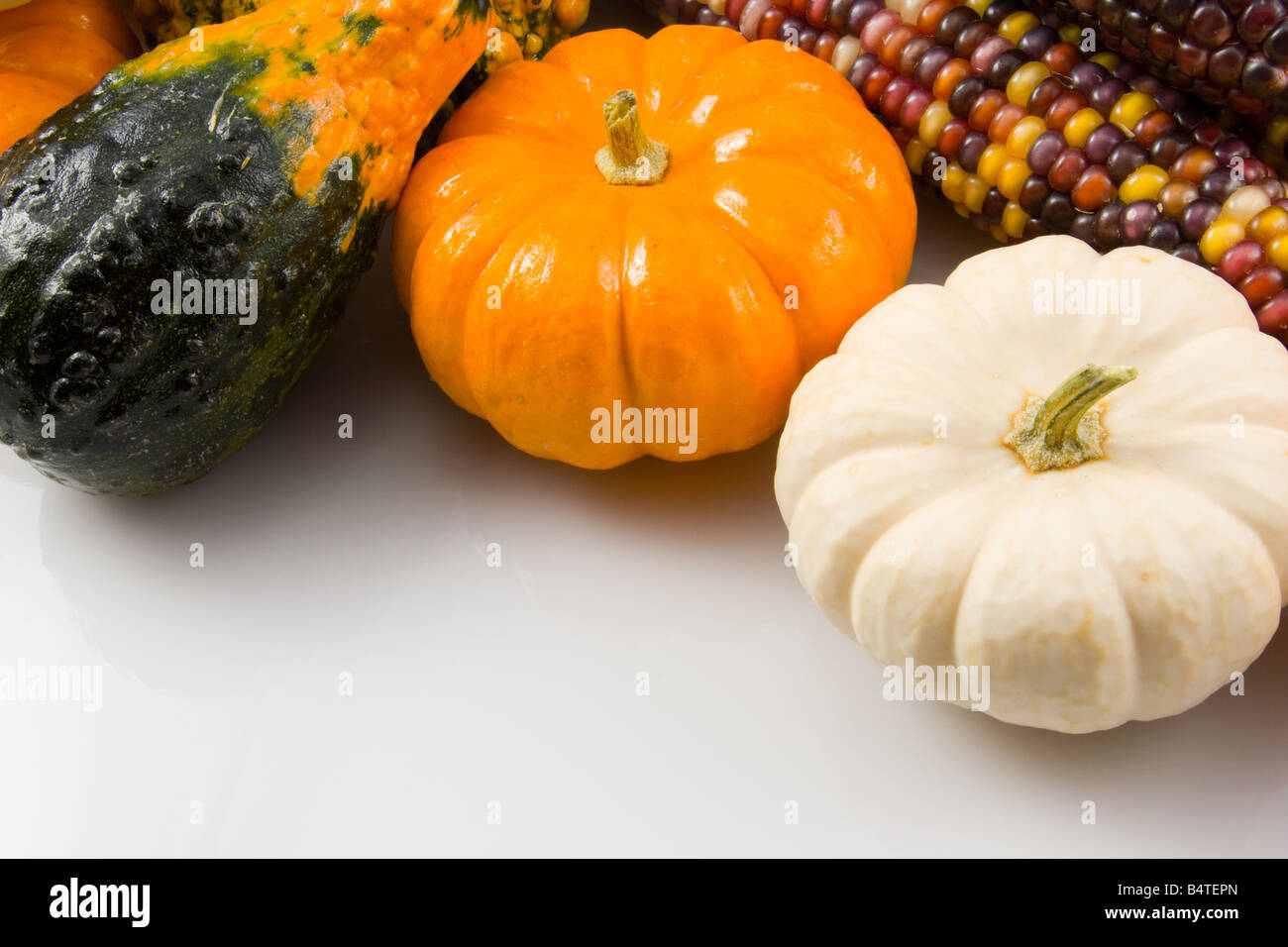 Mini Pumpkins and Gourds Stock Photo Alamy