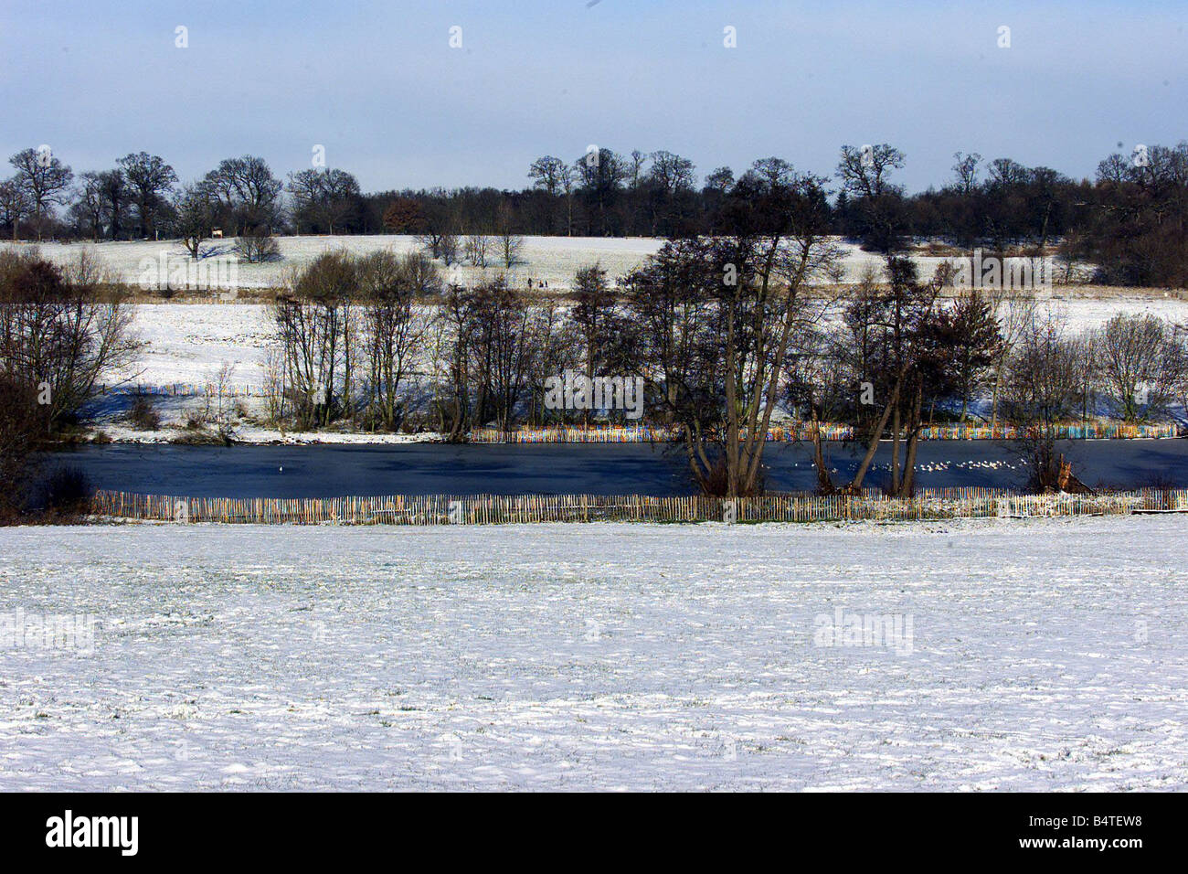 Weather Snow Dec 2000 SNOW SCENES IN WEALD PARK ESSEX Stock Photo Alamy