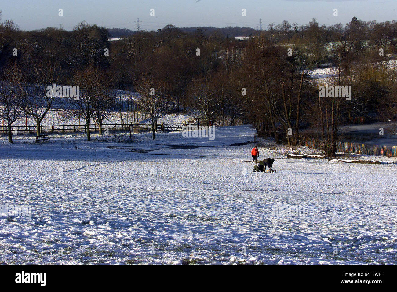 Weather Snow Dec 2000 SNOW SCENES IN WEALD PARK ESSEX Stock Photo Alamy