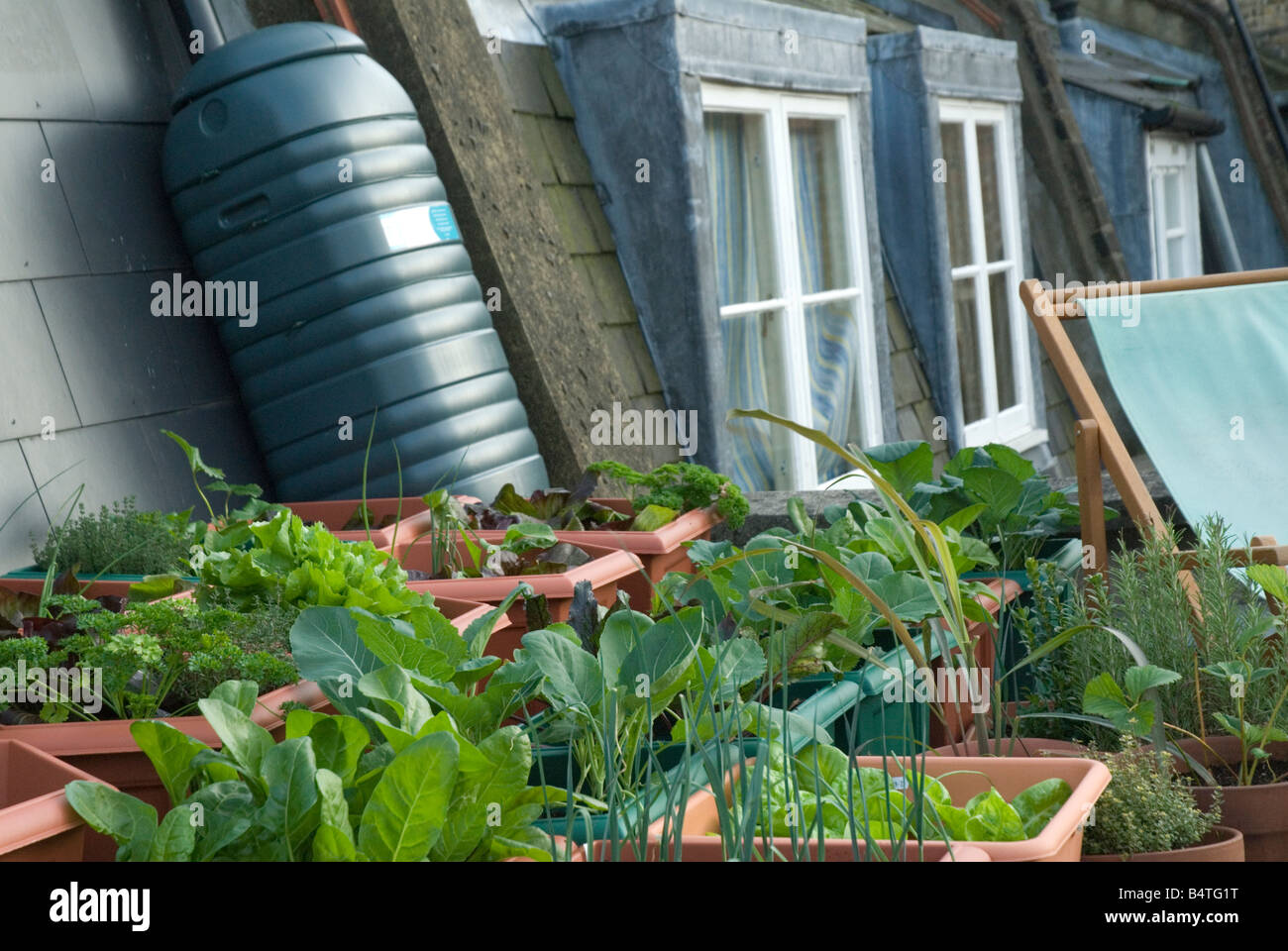 Rooftop veggie garden hires stock photography and images Alamy