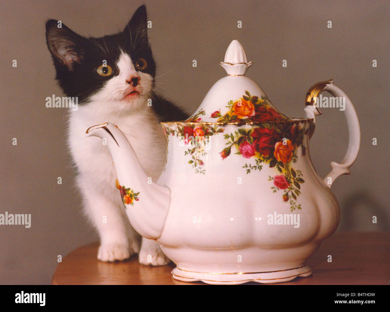 Kettle In Shape Of A Cat And Mouse High-Res Stock Photo - Getty Images