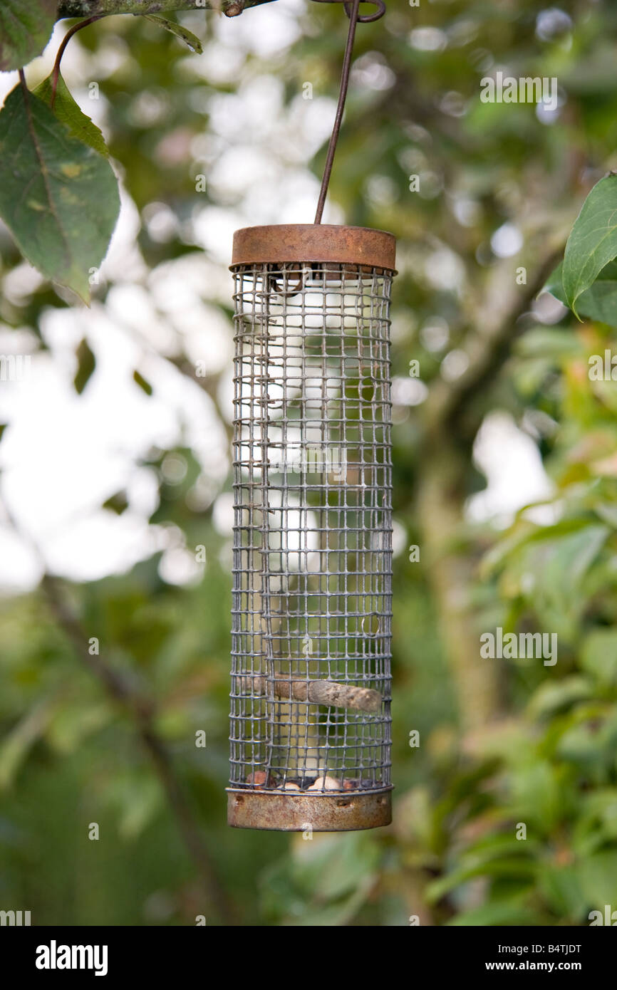 An empty bird feeder Stock Photo Alamy