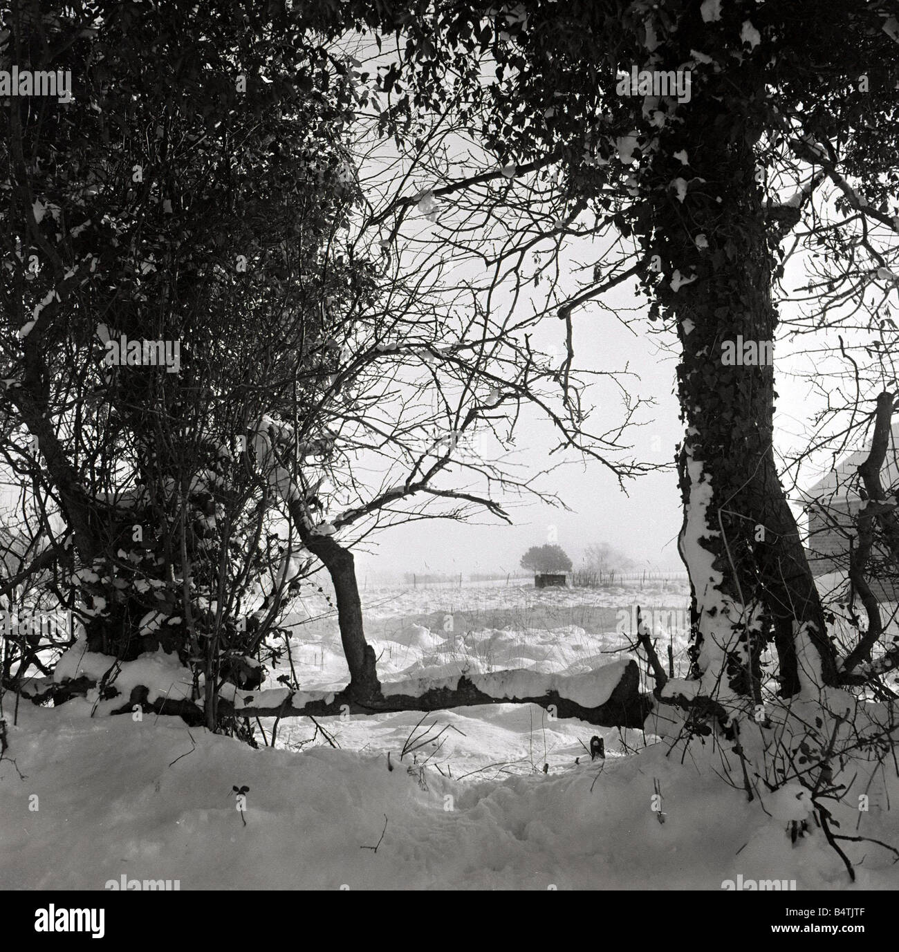 Snow scene at Sandy Hatch lane near Ashford Hertfordshire Winter ...