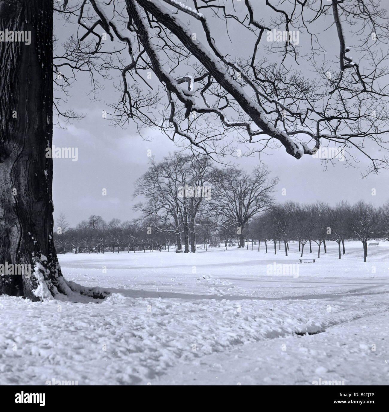 weather seasons winter snow snowy peaceful peacefulness serene Serenity