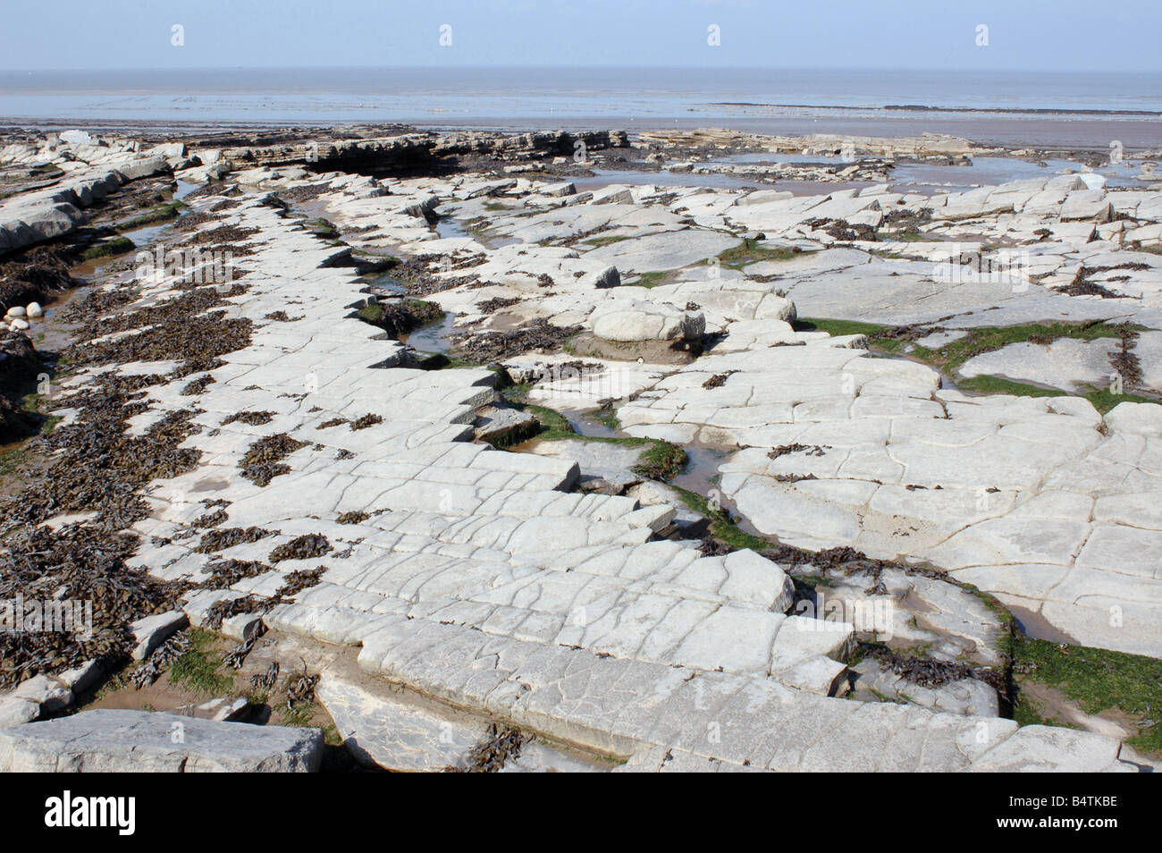 A coastal geological SSSI in North Somerset with foreshore exposures of Blue Lias Stock Photo