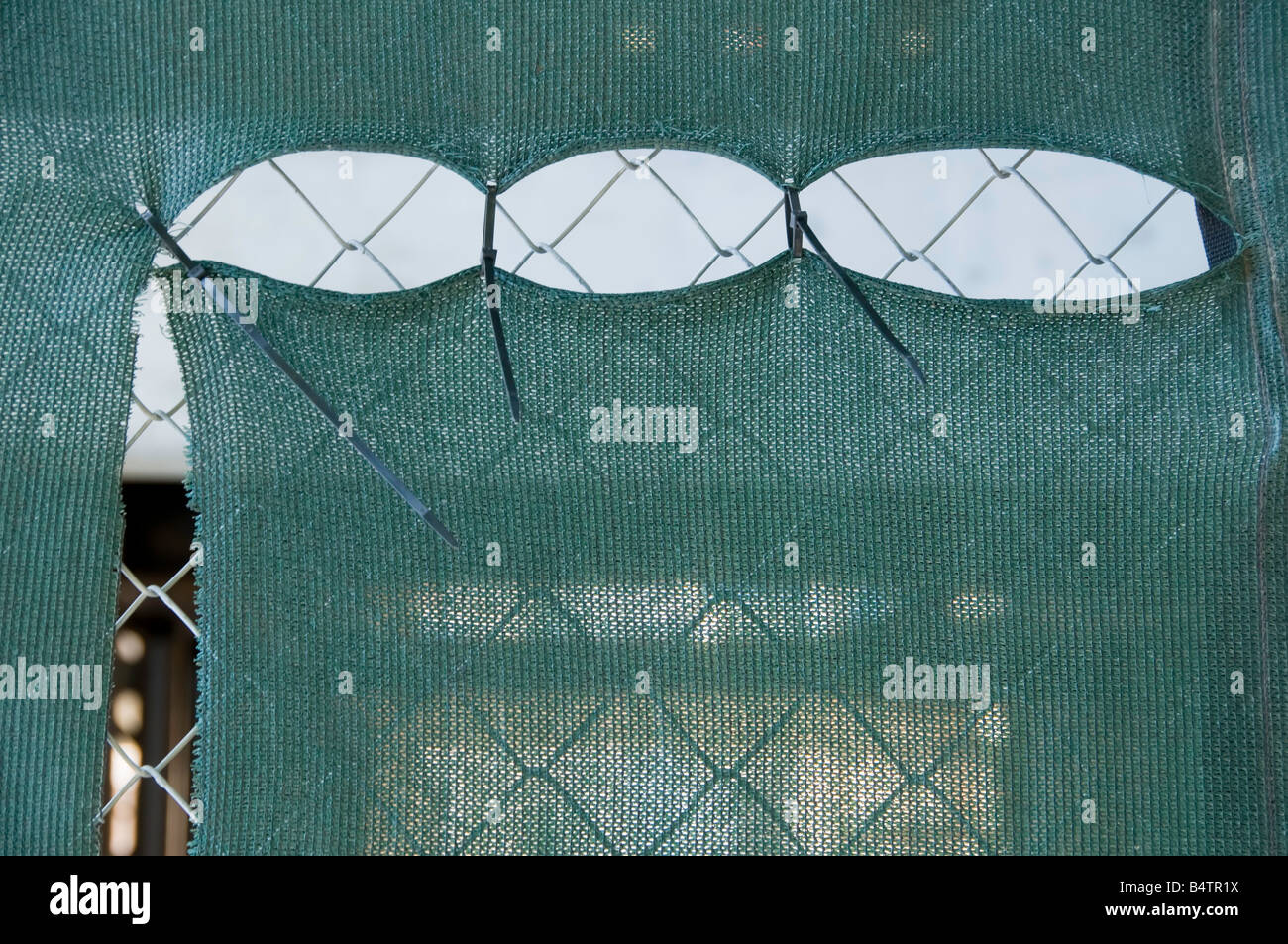 Holes in green screen on fence around construction site Stock Photo Alamy