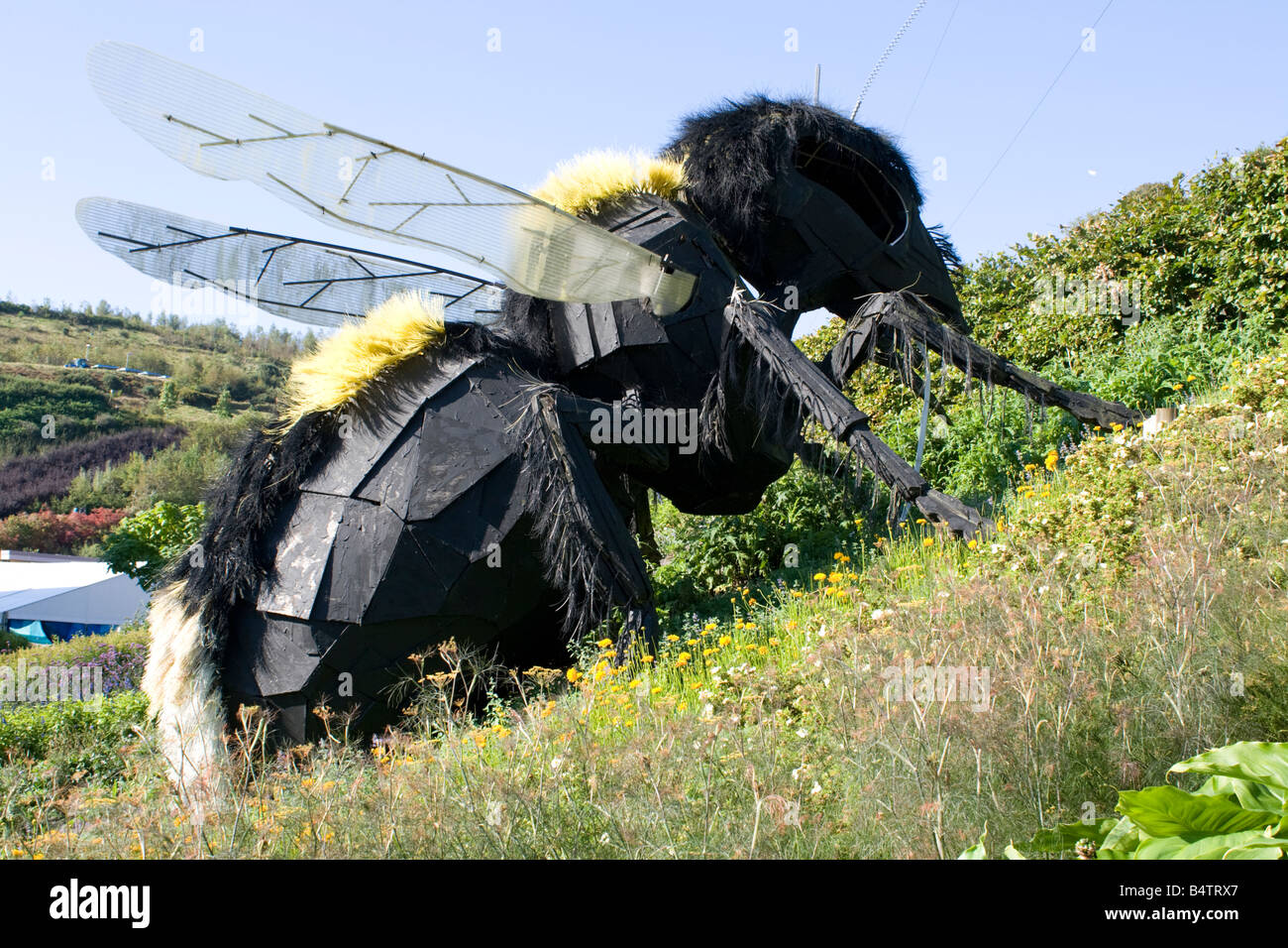 Giant Bee Hi Res Stock Photography And Images Alamy