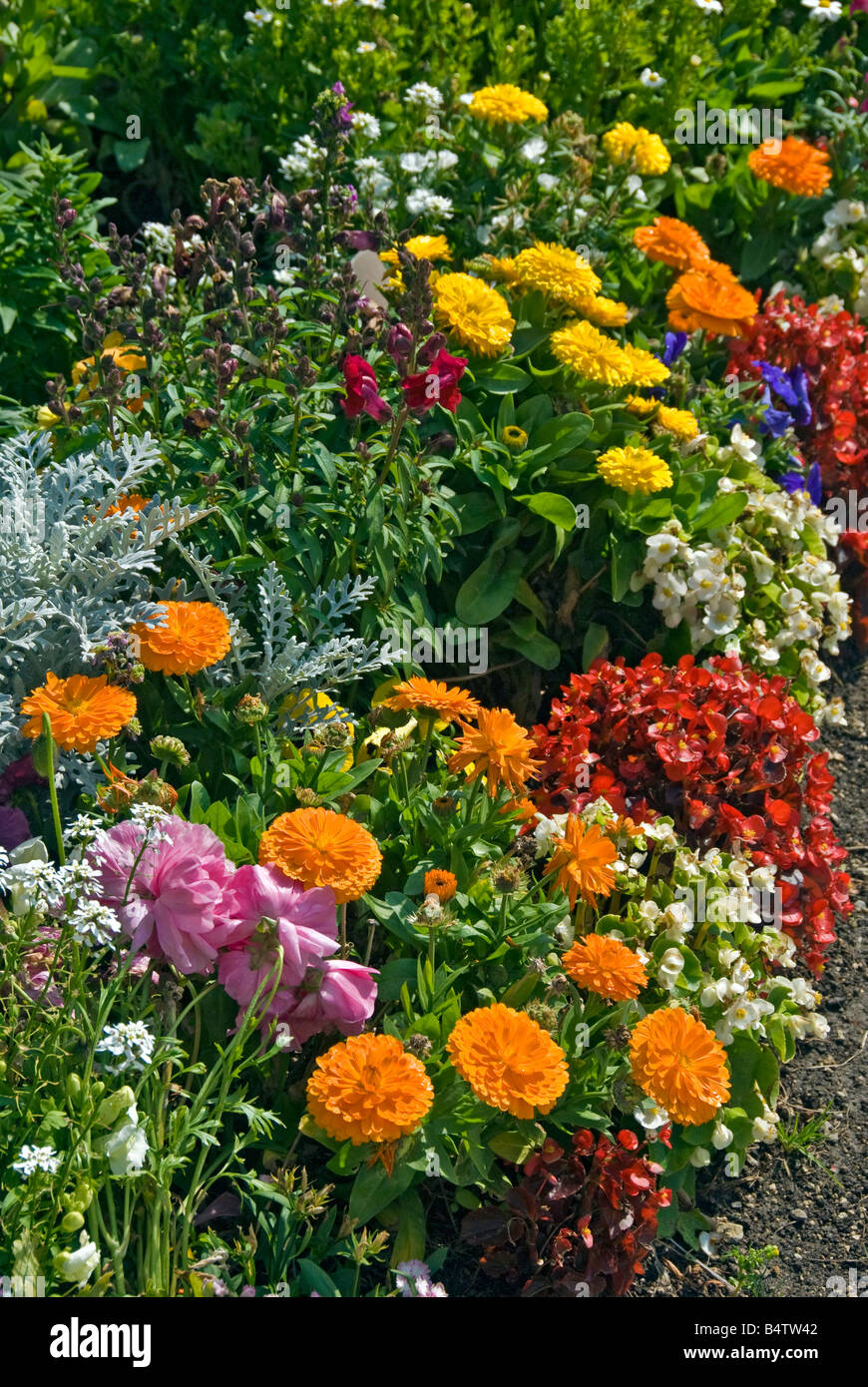 House Flowers, Well-Designed Mixed Garden: Colorful Beds and Borders, Shrubs, Perennials,Annuals, Bulbs, Red,Orange,Yellow,Green Stock Photo