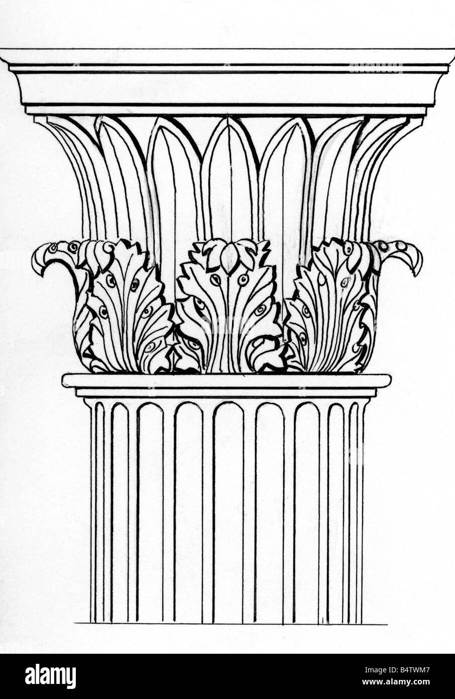architecture, detail, columns, capitel, Corinthian order, ink drawing, 20th century, Greece, Akanthus, ancient world, antiquity, column, ornaments, historic, historical, ancient world, Stock Photo