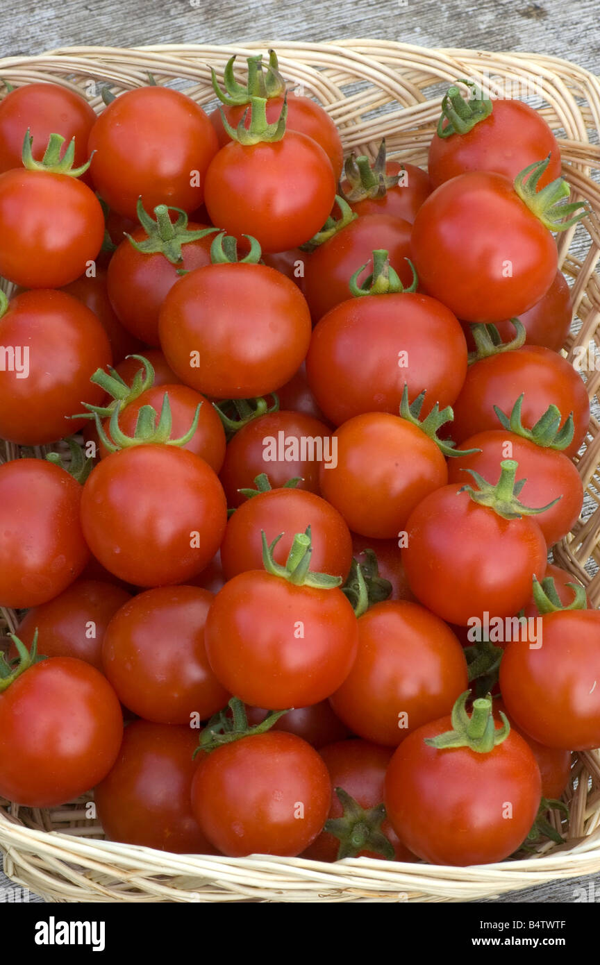 Basket of cherry tomatoes 'Sakura' F1 Stock Photo