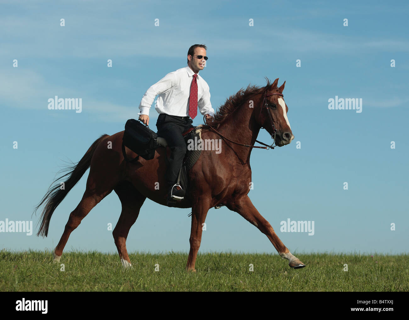 Young businessman riding a horse at full gallop Stock Photo Alamy